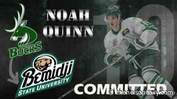 NMHA Grad Noah Quinn commits to Bemidji State University - The Nelson Daily