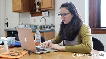 UMSL School of Social Work holds virtual seminar on caring for transgender and nonbinary patients - UMSL Daily