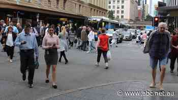 'They hate motorists': Brisbane Lord Mayor labels lower speed limit plea a 'socialist' Greens push