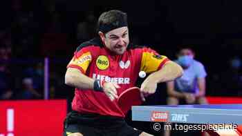 Timo Boll muss sich mit Bronze begnügen - Tagesspiegel