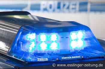 Einbruch in Reichenbach an der Fils - In Bauhof eingebrochen - esslinger-zeitung.de