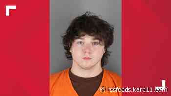Delano man sentenced to 48 months for fatal Plymouth hit-and-run