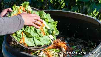 Thinking of composting at home? Here's how to start