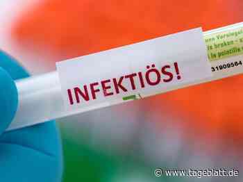 In diesen zwei Kommunen gibt es über 100 Corona-Fälle - Landkreis Stade - Tageblatt-online