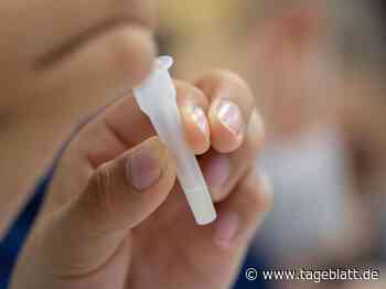 Corona-Zahlen steigen auch in Niedersachsen weiter - Landkreis Stade - Tageblatt-online