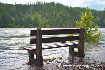 Virtual counselling session set to help Hope residents cope with disaster – Chilliwack Progress - Chilliwack Progress