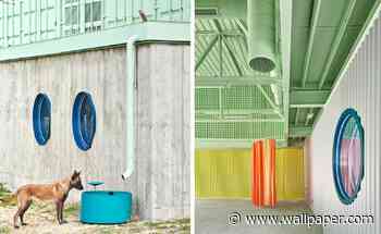 Architecture for animals leads the way at this school for dogs - Wallpaper*