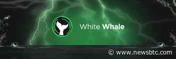 White Whale Releases Details on Flash Loan Architecture - NewsBTC