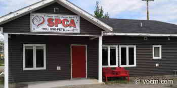 Happy Valley-Goose Bay SPCA in Need of Donations to Keep Doors Open - VOCM