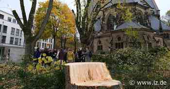 Das wollen Parteien 2022 für Detmold erreichen | Lokale Nachrichten aus Detmold - Lippische Landes-Zeitung