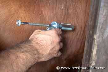 AABP develops cattle vaccination guidelines