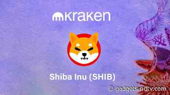 Kraken Lists Shiba Inu for Trades, Deposits as the News Sends Values Soaring