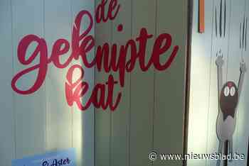 Expo ‘De geknipte kat’ staat opgesteld in Glazenstraat