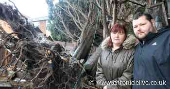 Gateshead family left fearing for their lives after '60ft' tree crashes into home during Storm Arwen