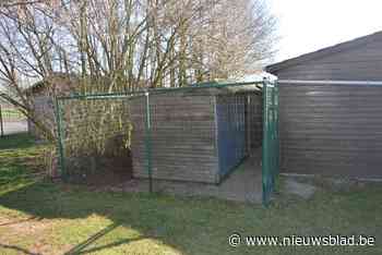 Dierenactivist vraagt online meldpunt verloren gelopen honden