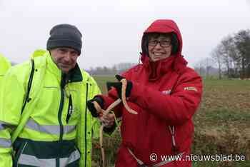Martine ruimt zwerfvuil op in graskant maar vindt dan iets wat ze niet had verwacht: “Blij dat ik het heb kunnen redden”