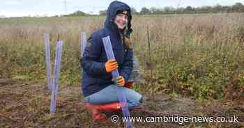 Three thousand trees planted on Cambs farm in single weekend