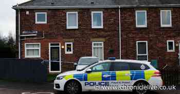 Gateshead families tell of shock after alleged stabbing in 'lovely quiet' street