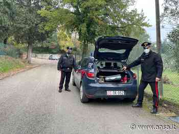 Anziano travolto e ucciso dalla sua auto a Foligno - Agenzia ANSA