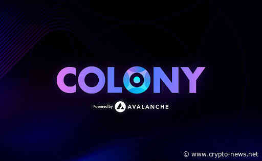 Colony Raises $18.5 Million To Fuel Next-Generation Applications In The Avalanche Ecosystem