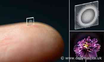 Tech: SALT grain-sized camera can take crisp, full-colour images like 'lenses 500,000 times larger'