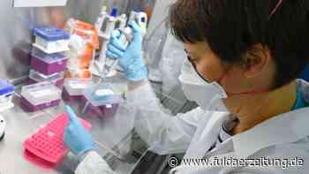 Corona in Fulda: Inzidenz sinkt leicht - 3G-Regel im Landratsamt - Fuldaer Zeitung