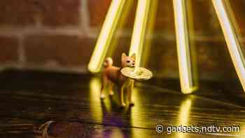 Binance Fixes Dogecoin Withdrawal Issue After Elon Musk's Twitter Spat