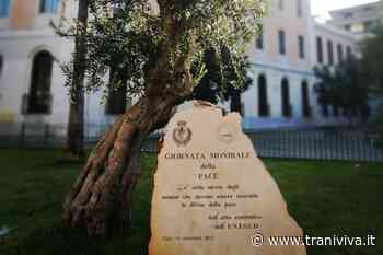 Il nuovo direttivo del club per l'Unesco di Trani: "Un'attività all'insegna del Rinnovamento" - TraniViva