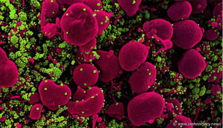 WHO Meets To Craft Global Pandemic Treaty With Teeth To Punish