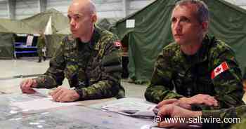 SCOTT TAYLOR: Top-heavy Canadian military needs revamp - SaltWire Network