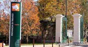 Elezioni provinciali: Marcon unico candidato per la presidenza - Oggi Treviso