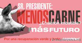 El centro de Madrid se llena de preguntas dirigidas a Pedro Sánchez - ES | Greenpeace España