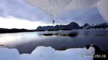 Arctic could see more rain than snow in 30 years, study suggests