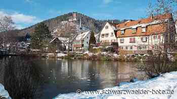 Wahlen in Bad Liebenzell: Zwölftes Mitglied für Jugendgemeinderat