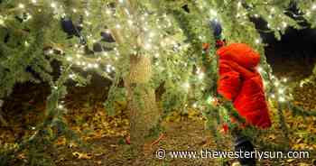 PHOTOS: A holiday tradition returns with Wilcox Park tree lighting - The Westerly Sun