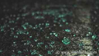 Driver killed in Dillon County crash, troopers say - WMBF