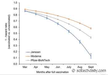 Breakthrough Infection Study Compares Decline in COVID Vaccine Effectiveness: Pfizer vs Moderna vs J&J