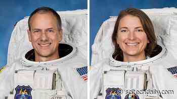 NASA Delays Spacewalk To Replace Faulty Space Station Antenna After Debris Notification