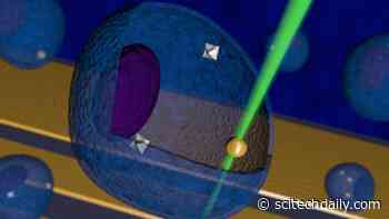 Transformative Technology: To Understand Biology, Scientists Turn to the Quantum World