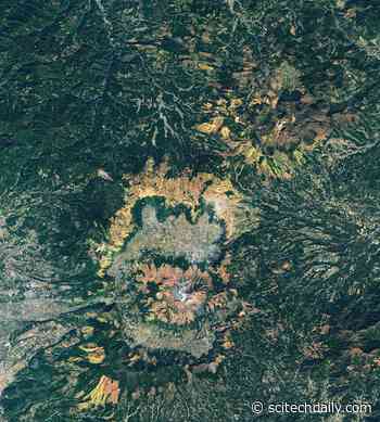 Leaf Hunting in Japan: Momijigari Can Last Into Early December in the Country’s Southern Regions