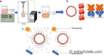Blood Microbubbles To Acoustically Detect Oxygen Levels