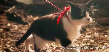 Another Lovely Cat-Filled UK Trailer for 'Electrical Life of Louis Wain'