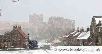 Bamburgh Castle to ban dogs for foreseeable future due to Storm Arwen