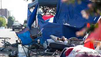 Mental health and medical care go mobile for Clark County homeless community - OPB News