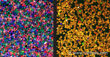 Stamping Bar Codes on Cells to Solve Medical Mysteries - The New York Times