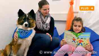 Ein Riecher für junge Leser: Schulhündin Anuk hilft in der Stadtbücherei Neu-Ulm - Augsburger Allgemeine