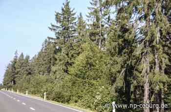 Glasindustrie am Rennsteig - Unternehmer wollen die „grüne Energie“ - Neue Presse Coburg