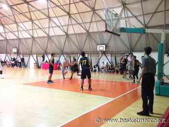 Basket Senzatesta Osimo, solo sconfitte nella settimana delle squadre giovanili - - Basketmarche.it