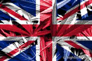 Report Calls for UK to Embrace Potential of Medical Cannabis Industry - High Times