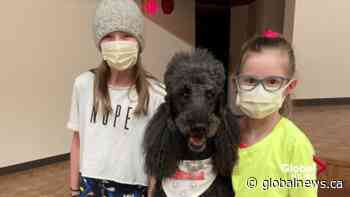 Tips to prepare kids for immunizations